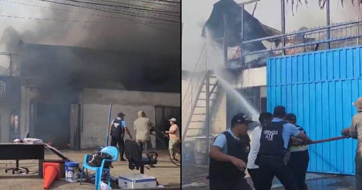 Intenso Incendio Forestal En Constanza: Bomberos Atienden Emergencia, Humo Afecta A La Población Intenso Incendio Forestal En Constanza: Bomberos Atienden Emergencia, Humo Afecta A La Población