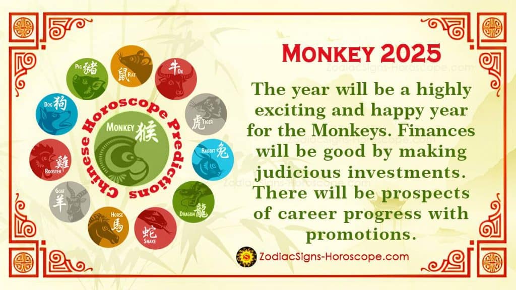 Is 2025 Stephen King's Best Year Despite A Potential Monkey Flop? Is 2025 Stephen King's Best Year Despite A Potential Monkey Flop?