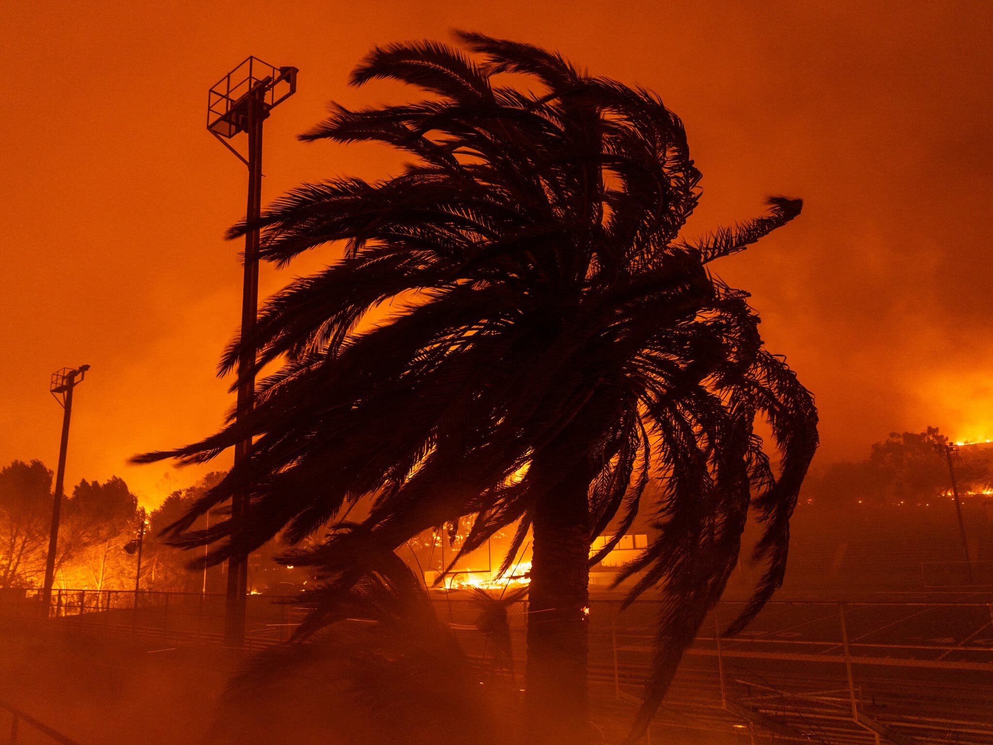 Is Betting On Wildfires The New Normal? The LA Case Is Betting On Wildfires The New Normal? The LA Case