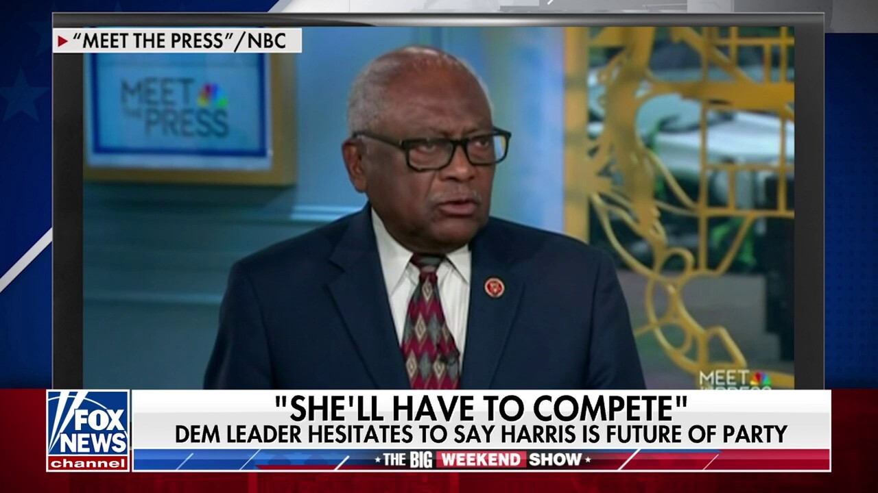 Is Kamala Harris The Right Leader? Democratic Insiders Express Doubts After Election