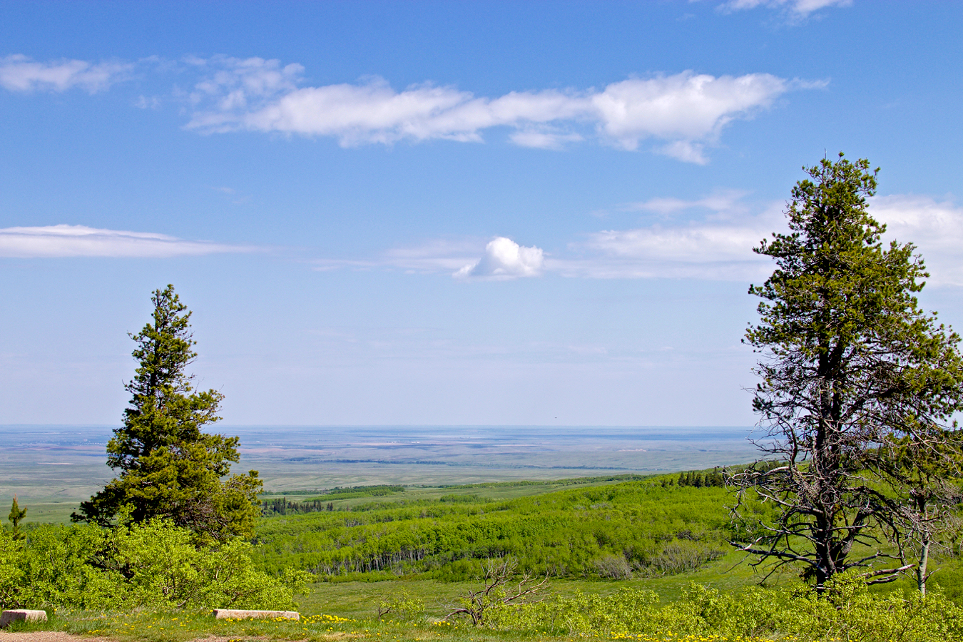 Is Western Separation Feasible? A Saskatchewan Perspective Is Western Separation Feasible? A Saskatchewan Perspective