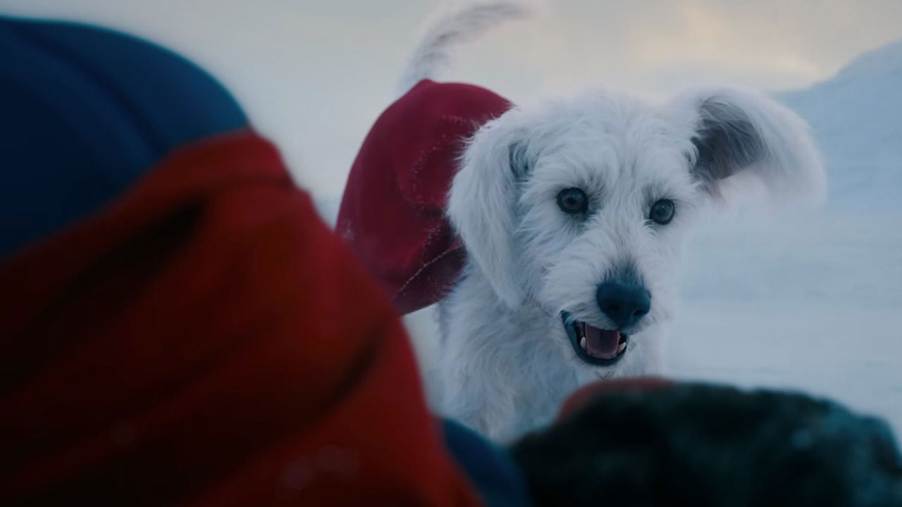 James Gunn's Superman: 5-Minute Krypto The Superdog Preview Released James Gunn's Superman: 5-Minute Krypto The Superdog Preview Released