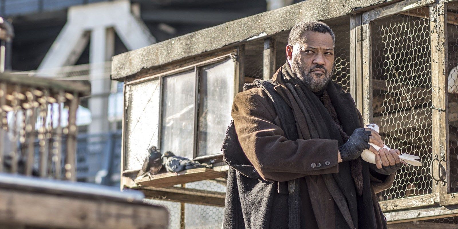 John Wick Franchise: Why Chapter 4's Rotten Tomatoes Score Is Surprisingly Low John Wick Franchise: Why Chapter 4's Rotten Tomatoes Score Is Surprisingly Low