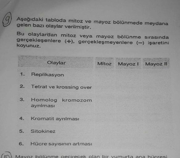 Kocaeli 1 Mayıs: Kutlamalar Sırasında Meydana Gelen Olaylar Kocaeli 1 Mayıs: Kutlamalar Sırasında Meydana Gelen Olaylar