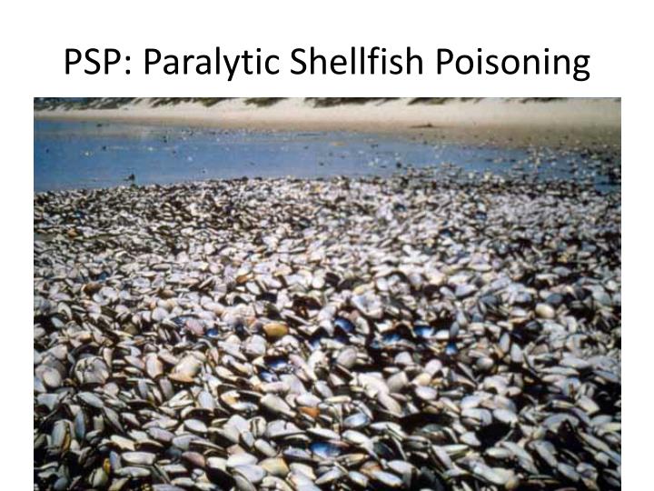Kodiak Waters: Two Consecutive Harmful Algal Blooms Warn Shellfish Harvesters Kodiak Waters: Two Consecutive Harmful Algal Blooms Warn Shellfish Harvesters