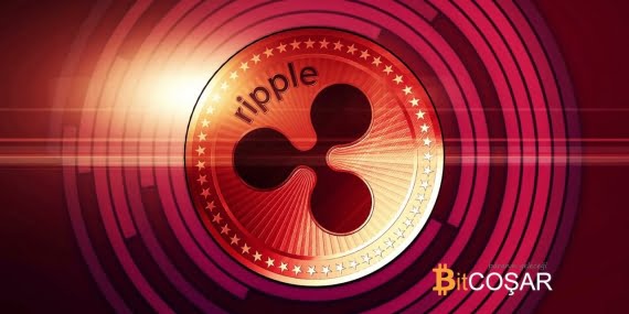 KriptoLider Nedir Ve Neden Herkes Bundan Bahsediyor? KriptoLider Nedir Ve Neden Herkes Bundan Bahsediyor?