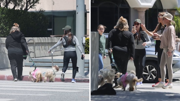 Kyle And Teddi's Heated Confrontation: A Dog Walker Dispute Kyle And Teddi's Heated Confrontation: A Dog Walker Dispute