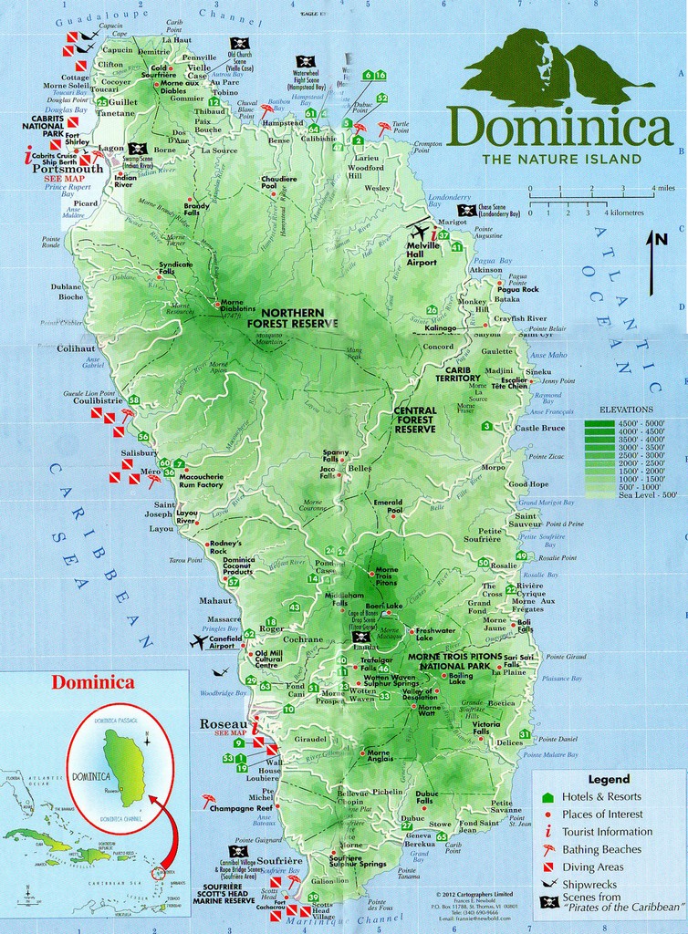 La Carte Blanche De Dominique Carlach: Décryptage Et Analyse La Carte Blanche De Dominique Carlach: Décryptage Et Analyse