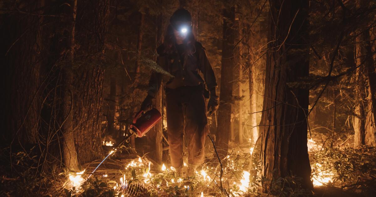 LA Wildfires And The Disturbing Reality Of Disaster Gambling LA Wildfires And The Disturbing Reality Of Disaster Gambling
