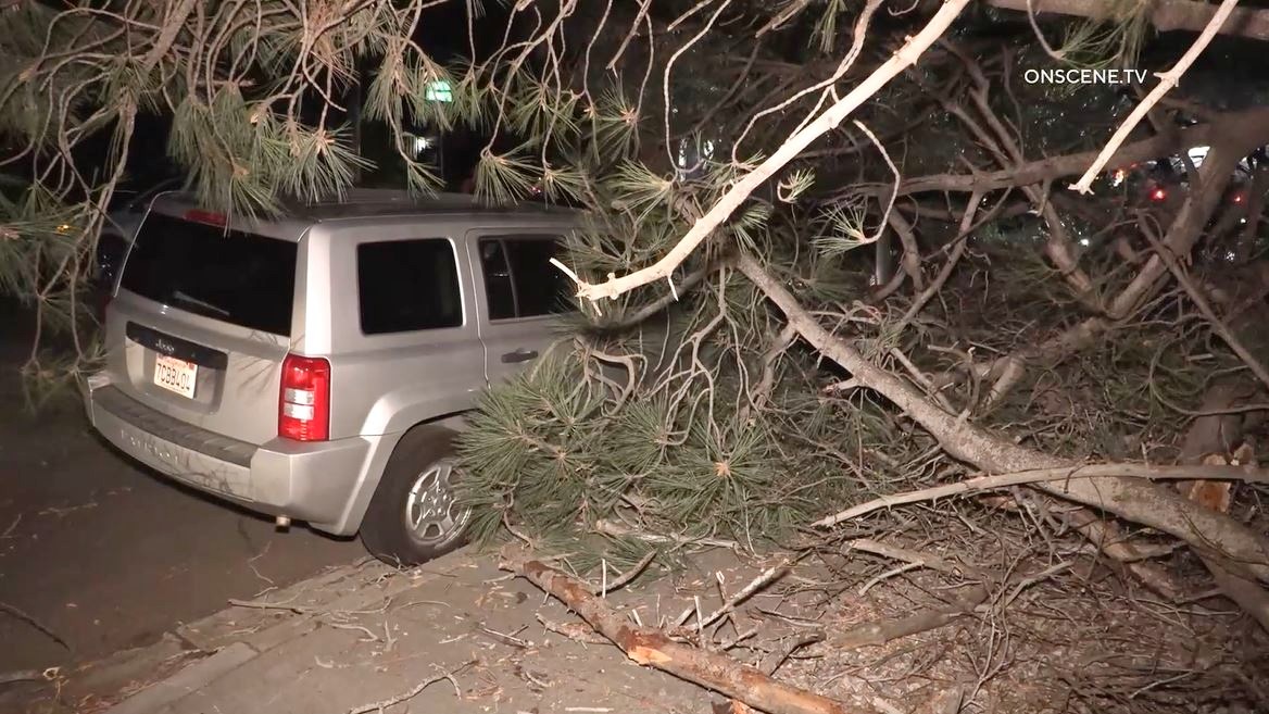 Late Winter Storm Pummels San Diego Late Winter Storm Pummels San Diego