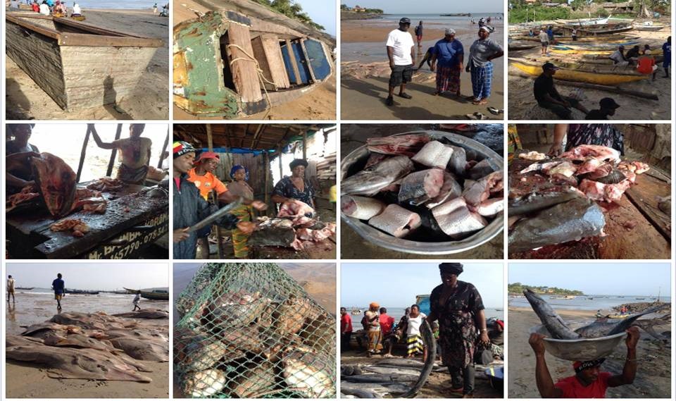 Leijdekker's Sierra Leone Connection: Will It Prevent Extradition? Leijdekker's Sierra Leone Connection: Will It Prevent Extradition?