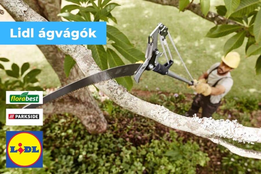 Lidl Akciós Gyűjtői Termékek: Miért Érdemes Sietni? Lidl Akciós Gyűjtői Termékek: Miért Érdemes Sietni?