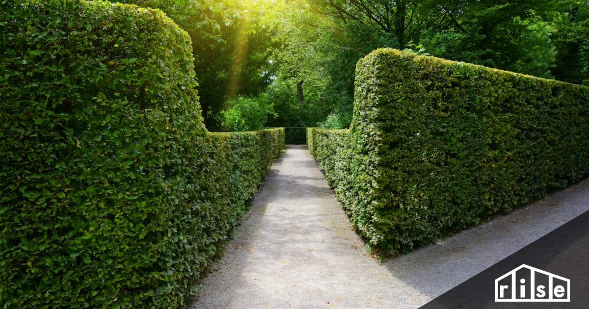 Living Fences: Planning, Planting & Maintenance Living Fences: Planning, Planting & Maintenance