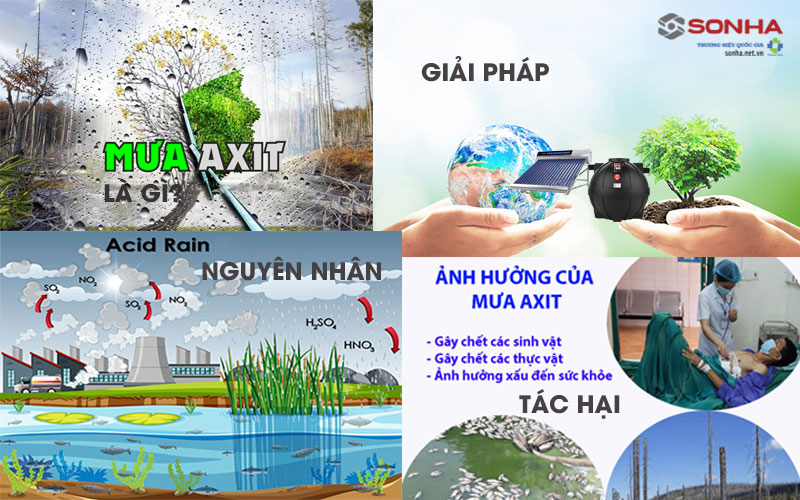 Lợi Ích Và Tác Hại Của Việc Xông Hơi: Thời Gian Xông Hơi Đúng Cách Lợi Ích Và Tác Hại Của Việc Xông Hơi: Thời Gian Xông Hơi Đúng Cách