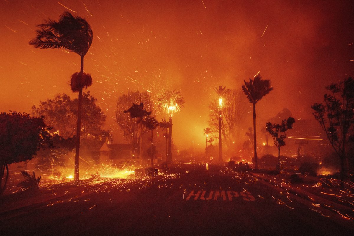 Los Angeles Palisades Fire: A List Of Celebrities Who Lost Property Los Angeles Palisades Fire: A List Of Celebrities Who Lost Property