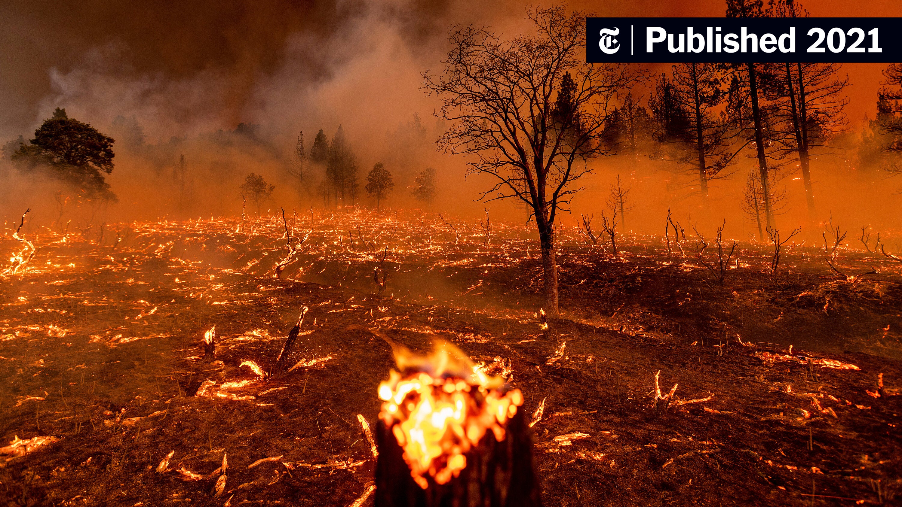 Los Angeles Wildfires And The Gambling Industry: A Concerning Link Los Angeles Wildfires And The Gambling Industry: A Concerning Link