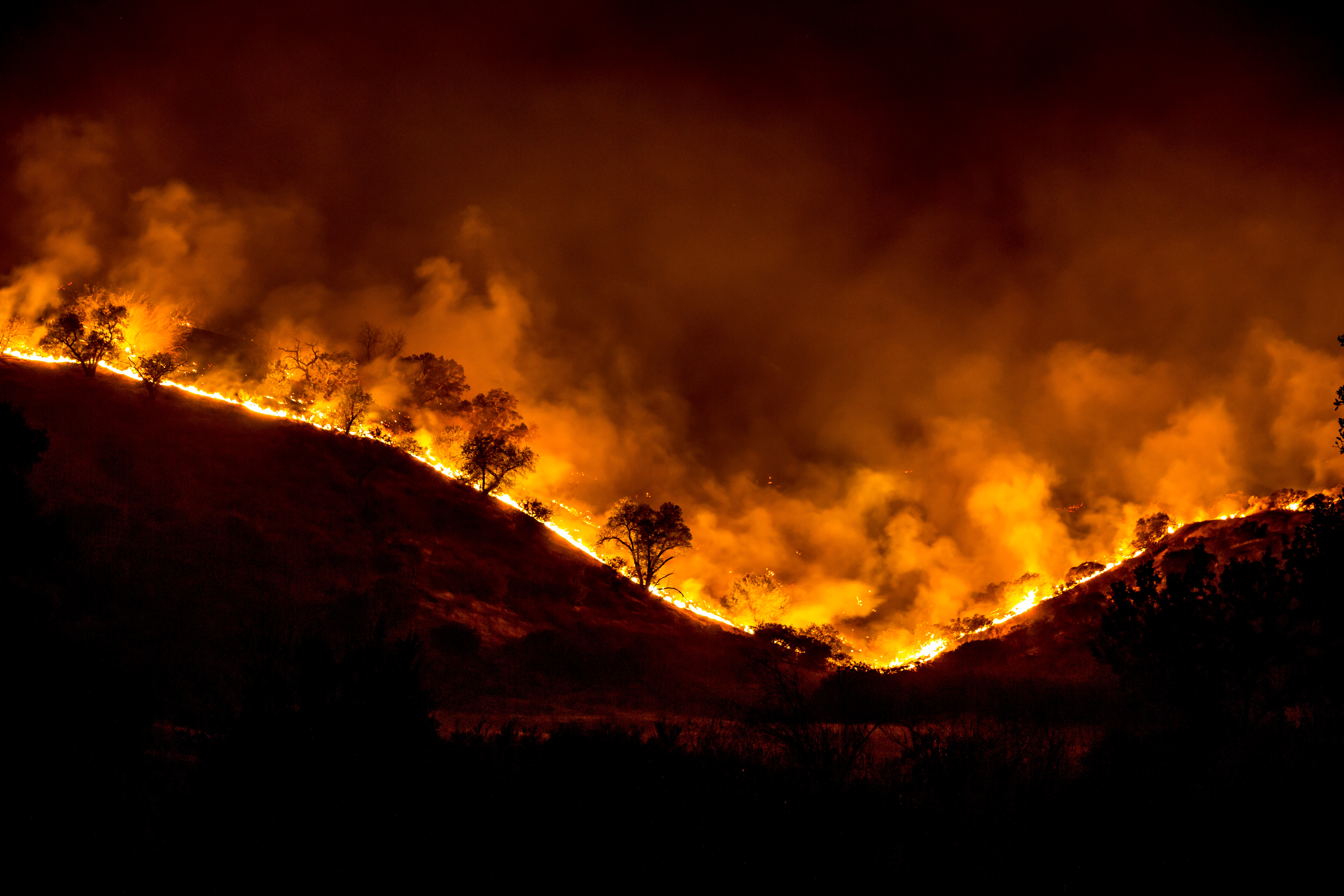 Los Angeles Wildfires: Exploring The Market For Disaster-Related Betting Los Angeles Wildfires: Exploring The Market For Disaster-Related Betting