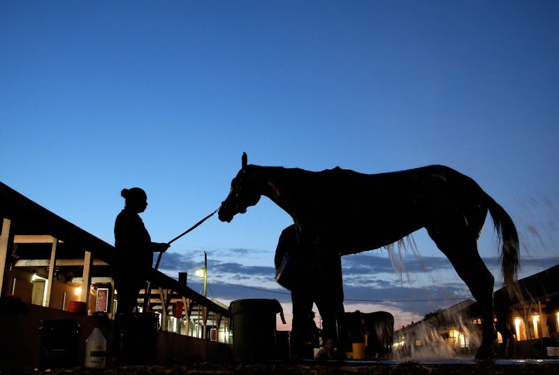 Louisiana Derby 2025: Your Guide To The Odds, Horses, And Kentucky Derby Qualification Louisiana Derby 2025: Your Guide To The Odds, Horses, And Kentucky Derby Qualification