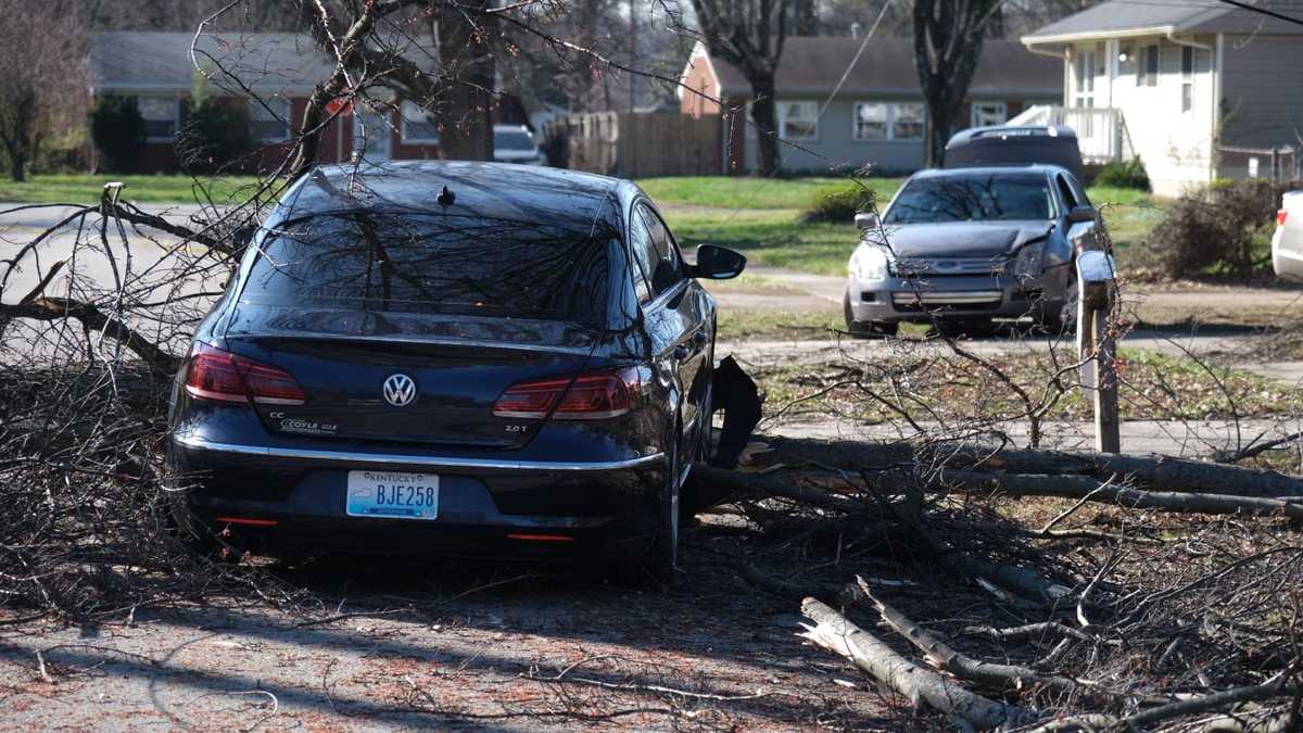 Louisville Opens Storm Debris Pickup Request System After Severe Weather