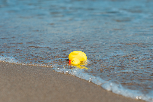 Massive Rubber Duck To Promote Water Safety In Myrtle Beach Massive Rubber Duck To Promote Water Safety In Myrtle Beach