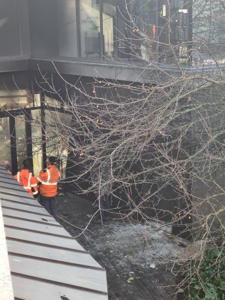 Médiathèque Champollion À Dijon : Dégâts Importants Après Un Début D'incendie Médiathèque Champollion À Dijon : Dégâts Importants Après Un Début D'incendie