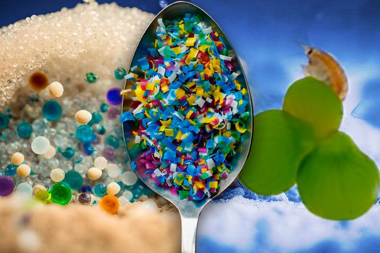 Microplastiche Nell'acqua: Dove Si Trovano Le Maggiori Concentrazioni? Microplastiche Nell'acqua: Dove Si Trovano Le Maggiori Concentrazioni?
