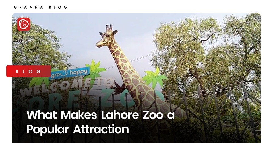 Minister Aurangzeb's Statement On Lahore Zoo's Increased Ticket Prices Minister Aurangzeb's Statement On Lahore Zoo's Increased Ticket Prices