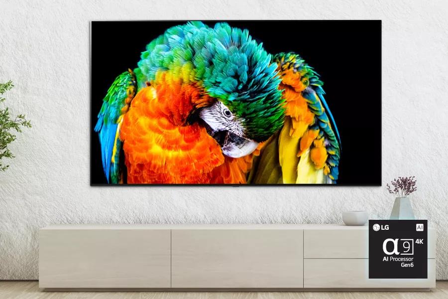 My Honest Review Of The LG C3 77-Inch OLED TV My Honest Review Of The LG C3 77-Inch OLED TV