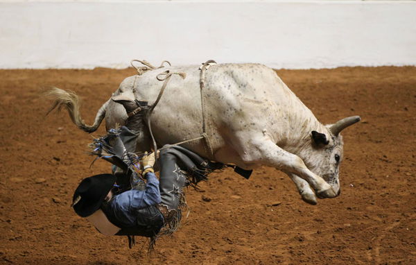 Neal McDonough Rides The Wildest Bull In Neal McDonough Rides The Wildest Bull In