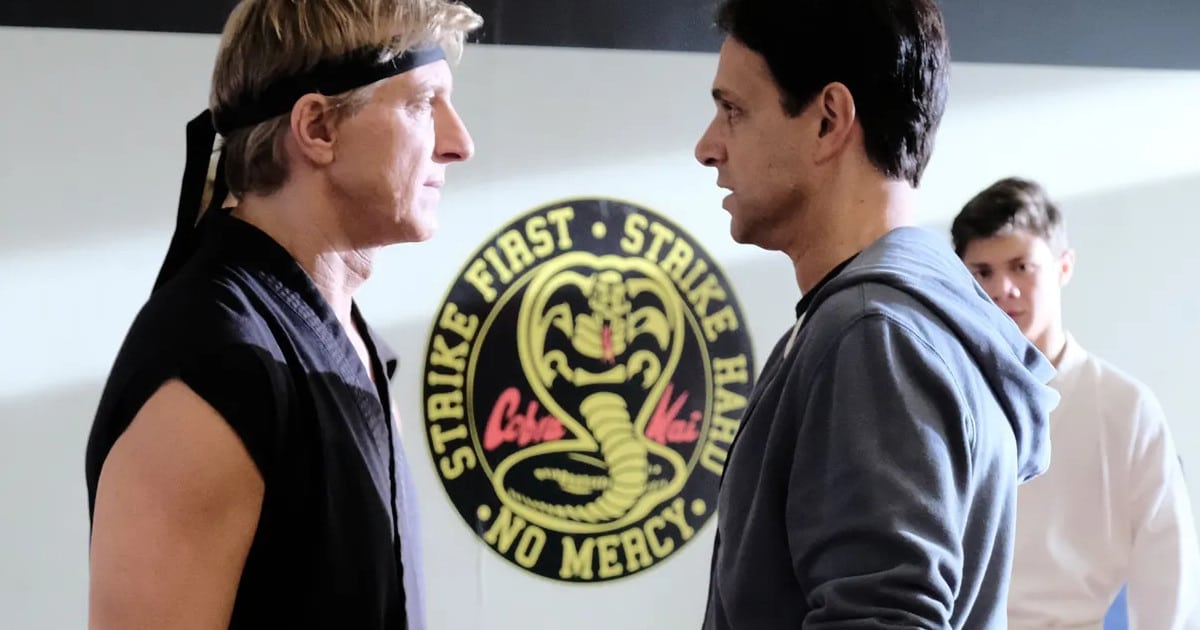 Netflix Cobra Kai: Unveiling The Karate Kid Connection Netflix Cobra Kai: Unveiling The Karate Kid Connection