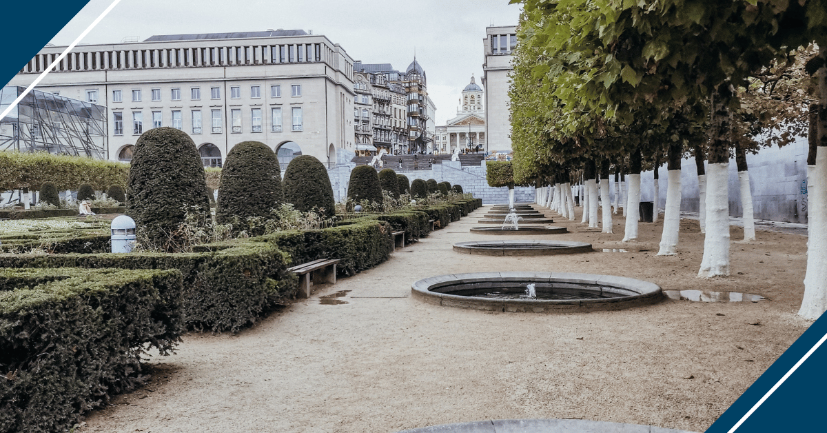 Netherlands Explores OW Subsidy Revival To Stimulate Competition Netherlands Explores OW Subsidy Revival To Stimulate Competition