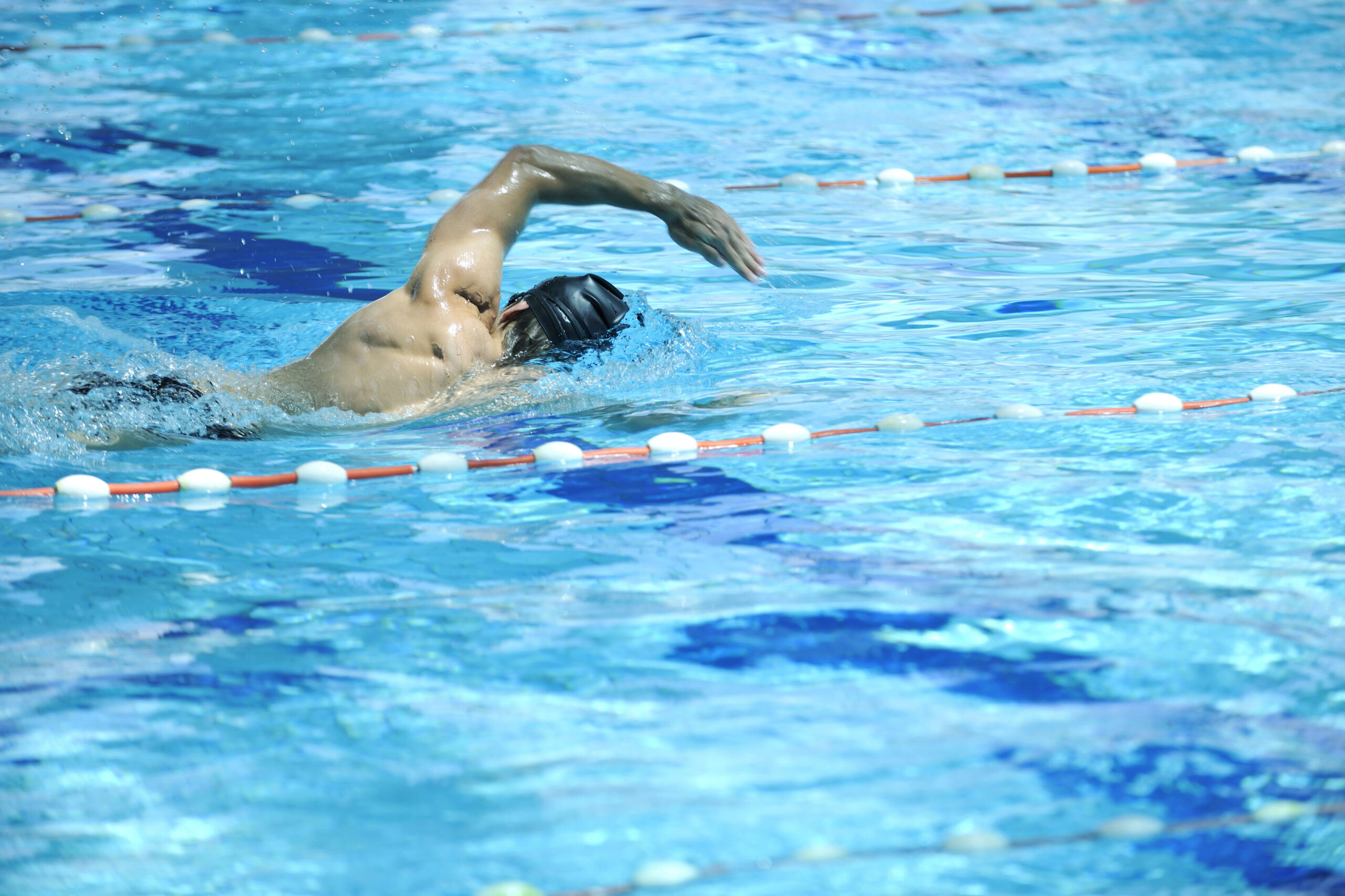 New Olympic Swimming Site To Be Centrepiece Of Nice's Aquatic Development New Olympic Swimming Site To Be Centrepiece Of Nice's Aquatic Development
