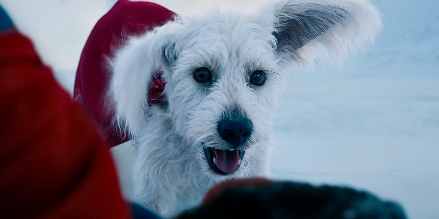 New Superman Sneak Peek Hints At Krypto's Betrayal New Superman Sneak Peek Hints At Krypto's Betrayal