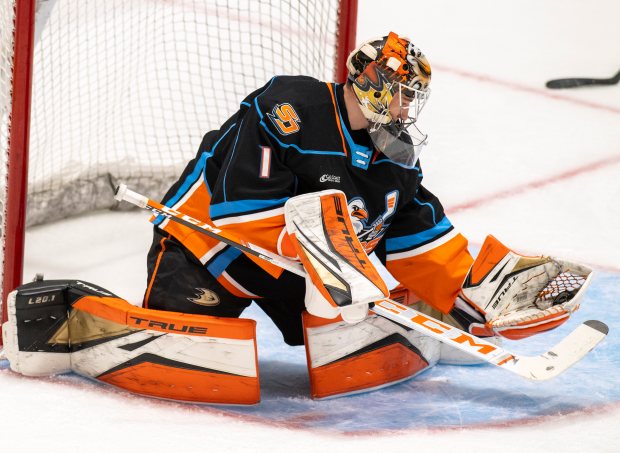 NHL: Carlsson's Two Goals Overshadowed In Ducks' Overtime Defeat To Stars NHL: Carlsson's Two Goals Overshadowed In Ducks' Overtime Defeat To Stars