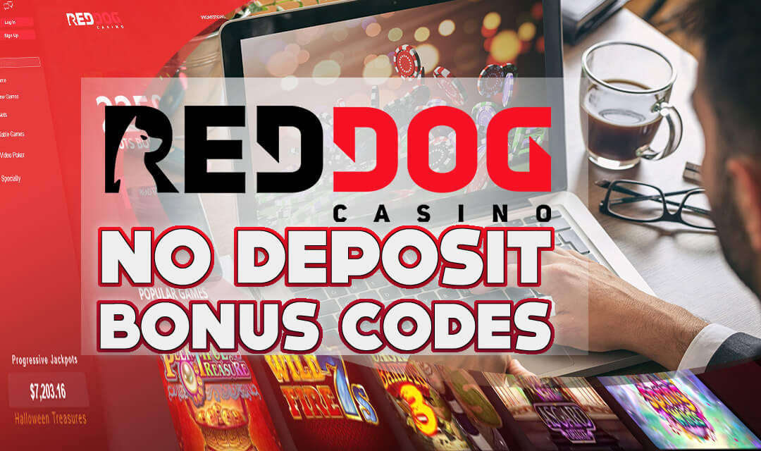 No Deposit Casino Bonuses: Top Codes For March 2025 No Deposit Casino Bonuses: Top Codes For March 2025