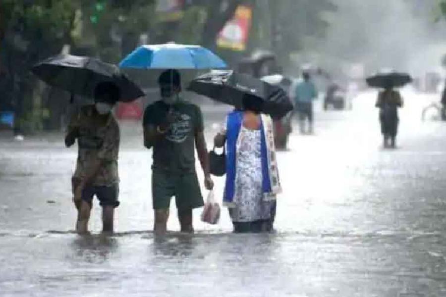 North Bengal Braces For Rain: WB Met Department's Forecast North Bengal Braces For Rain: WB Met Department's Forecast