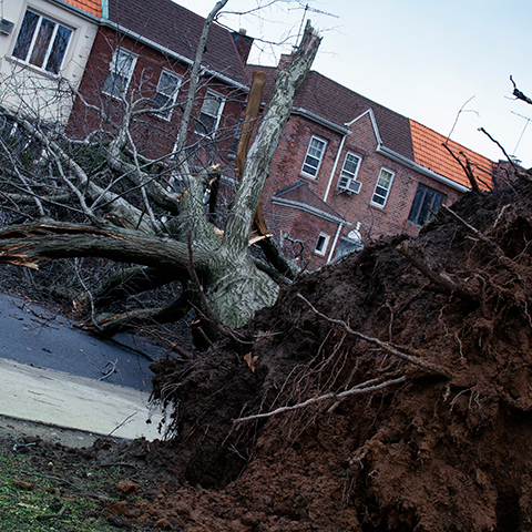 NYC Facing Severe Weather Monday: What To Expect & How To Prepare NYC Facing Severe Weather Monday: What To Expect & How To Prepare