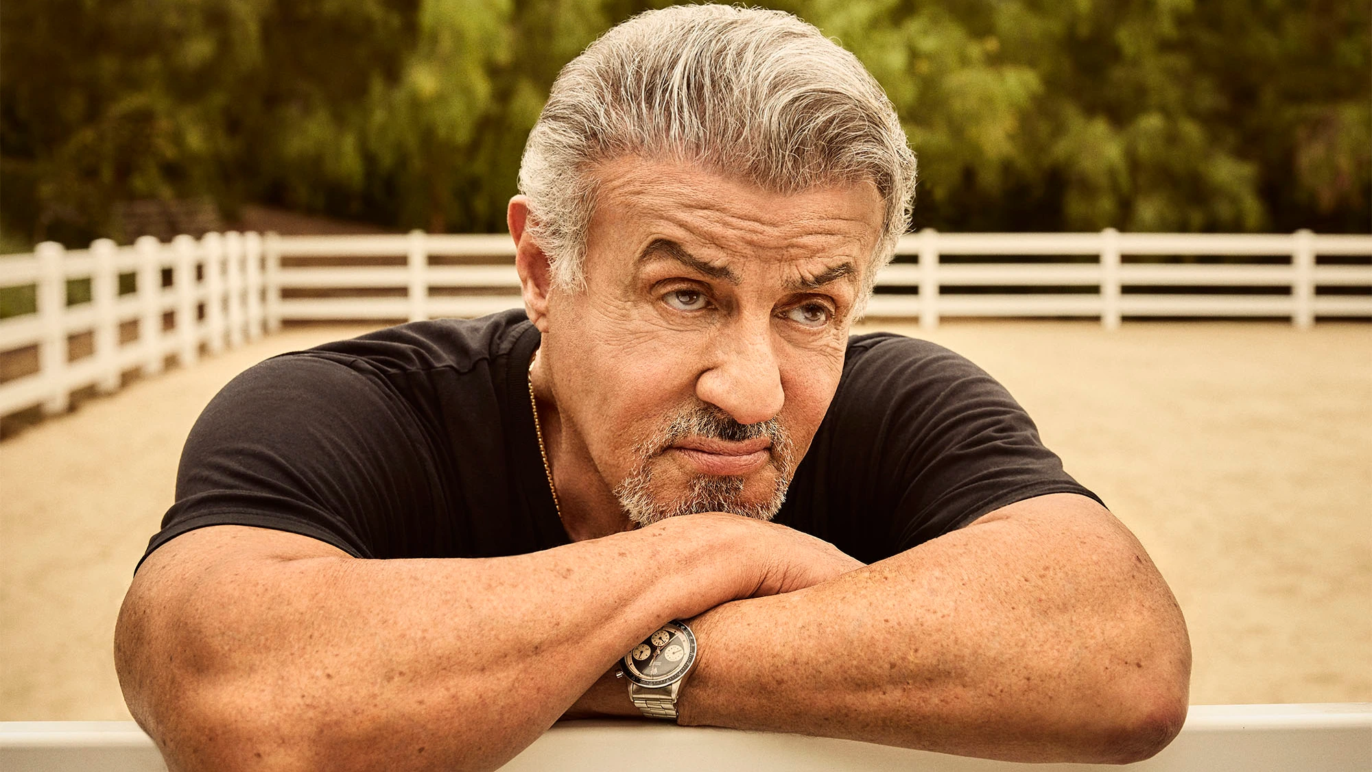 One And Done: Sylvester Stallone's Single Non-Acting Directing Venture One And Done: Sylvester Stallone's Single Non-Acting Directing Venture