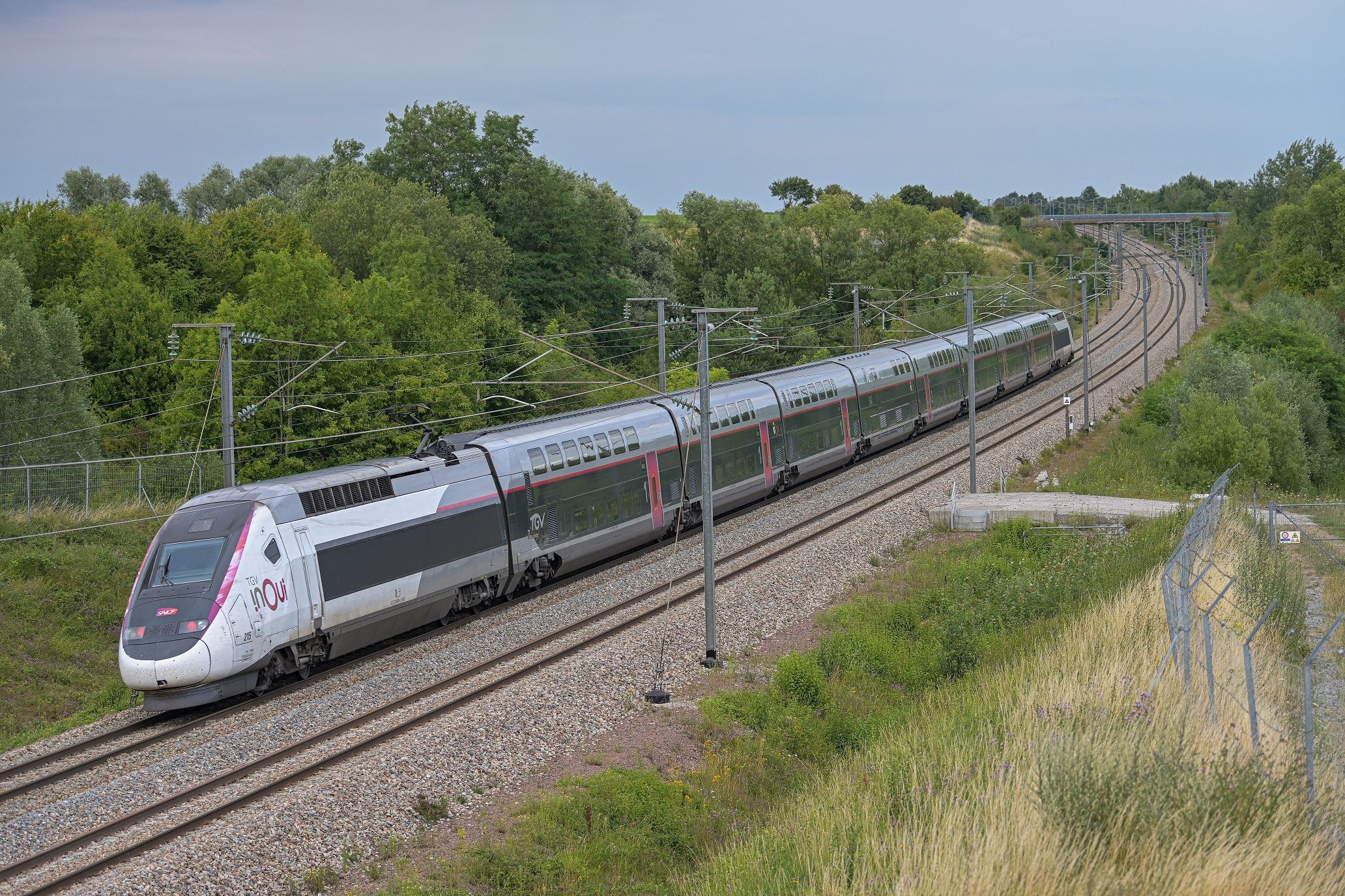 OQTF Et Fraude SNCF : Un Ivoirien Exhibe Son Sexe À Une Contrôleuse OQTF Et Fraude SNCF : Un Ivoirien Exhibe Son Sexe À Une Contrôleuse