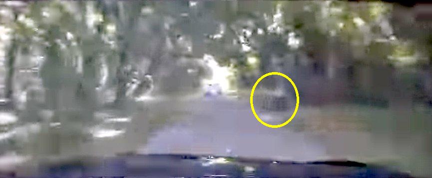 Pair Refuels At 90mph During High-Speed Police Chase Pair Refuels At 90mph During High-Speed Police Chase