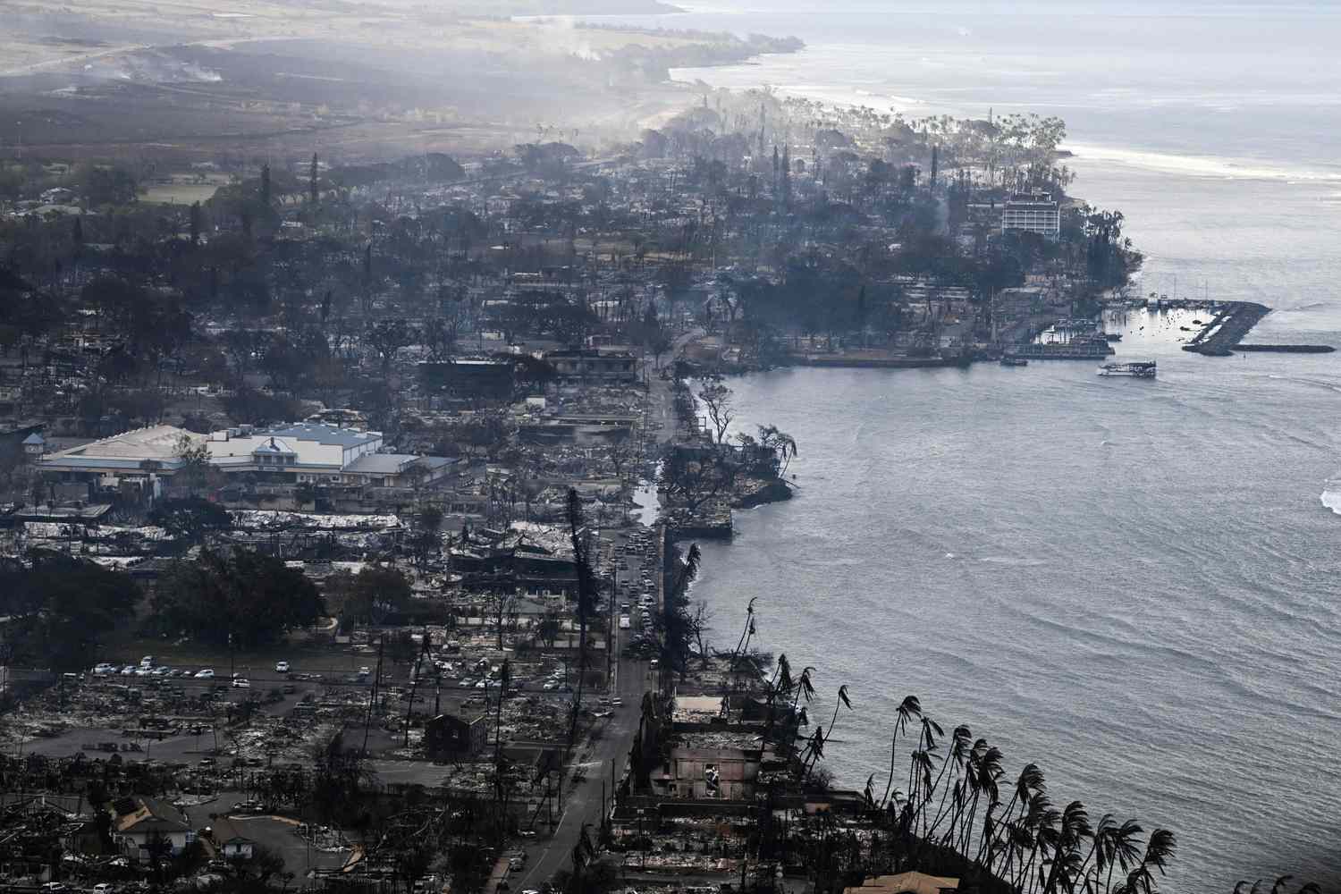 Palisades Fire: Impact On Celebrity Homes – A Comprehensive List Palisades Fire: Impact On Celebrity Homes – A Comprehensive List