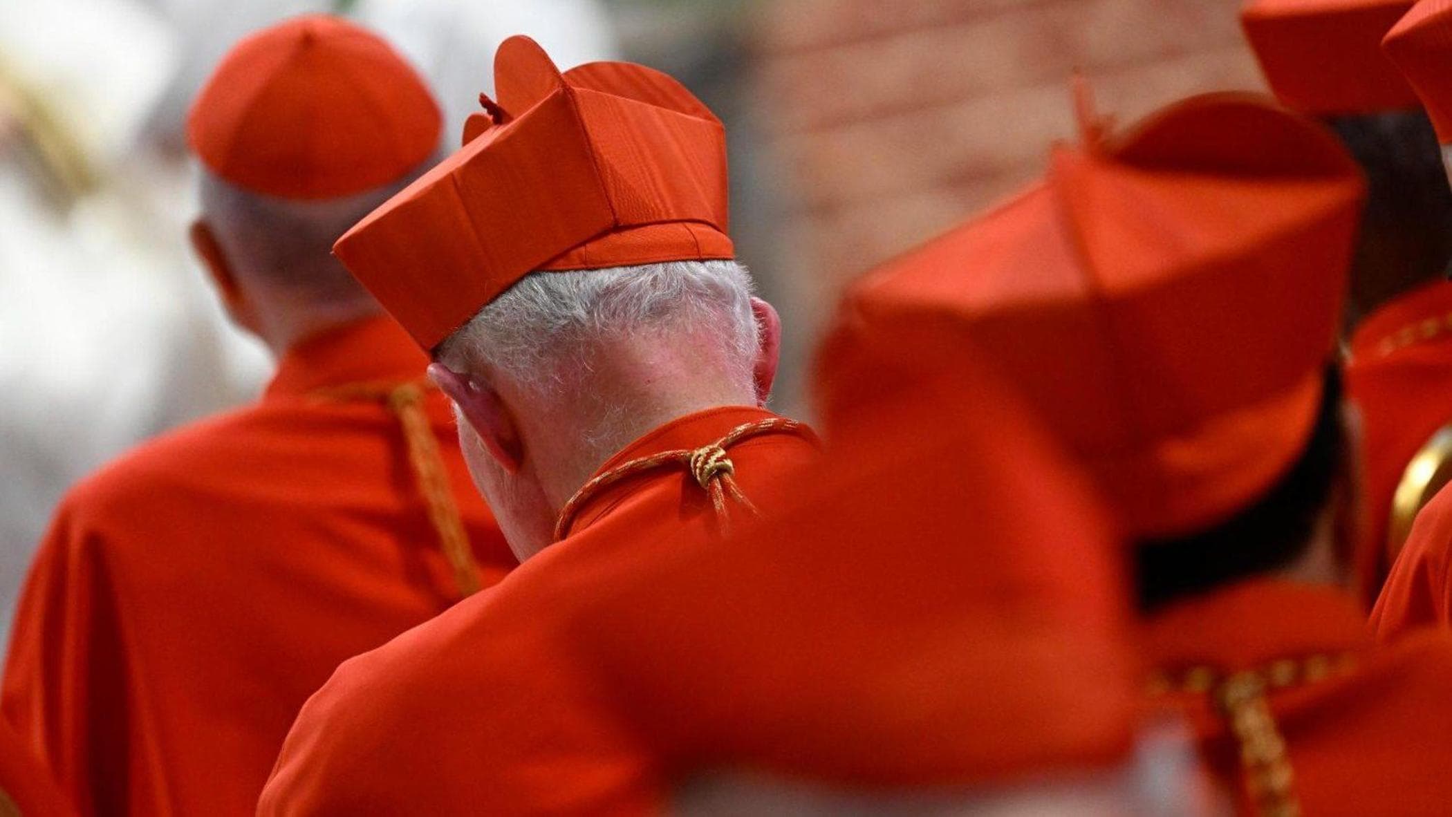 Papa Francesco: I Cardinali Scelti Per Il Conclave - Un'Analisi Del Nuovo Collegio Cardinalizio Papa Francesco: I Cardinali Scelti Per Il Conclave - Un'Analisi Del Nuovo Collegio Cardinalizio