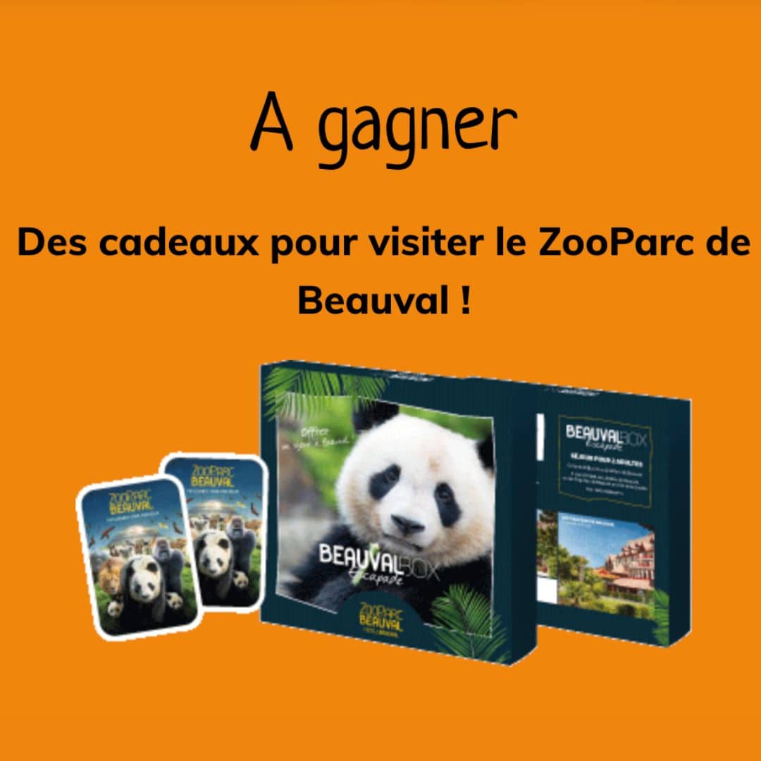 Participez Au Game De Dahu #1 : Jeu Et Concours À Saint-Dié-des-Vosges Participez Au Game De Dahu #1 : Jeu Et Concours À Saint-Dié-des-Vosges