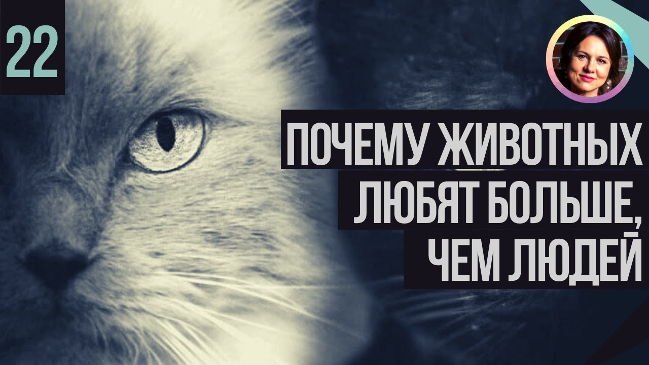 Павел I И Триллеры: Почему Люди Любят Щекотать Нервы, По Мнению Федора Лаврова Павел I И Триллеры: Почему Люди Любят Щекотать Нервы, По Мнению Федора Лаврова