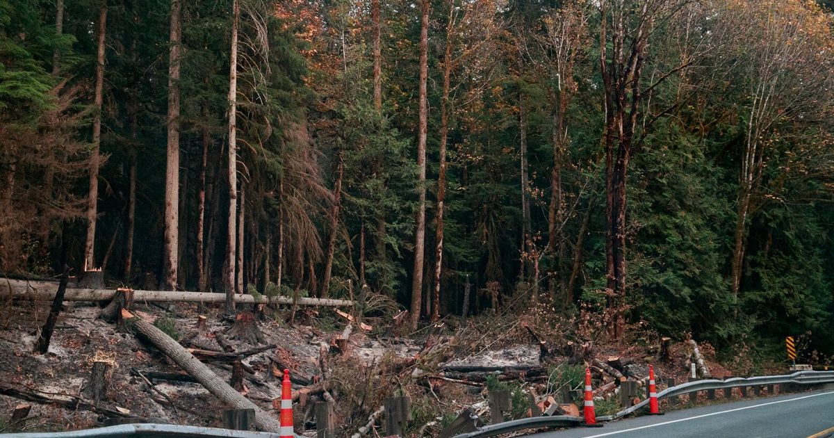 Pennsylvania Under Flash Flood Warning: Thursday Morning Impacts Predicted Pennsylvania Under Flash Flood Warning: Thursday Morning Impacts Predicted