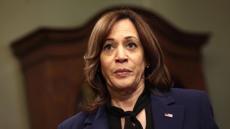 Post-Election Leadership Concerns: Kamala Harris Faces Criticism From Within Post-Election Leadership Concerns: Kamala Harris Faces Criticism From Within