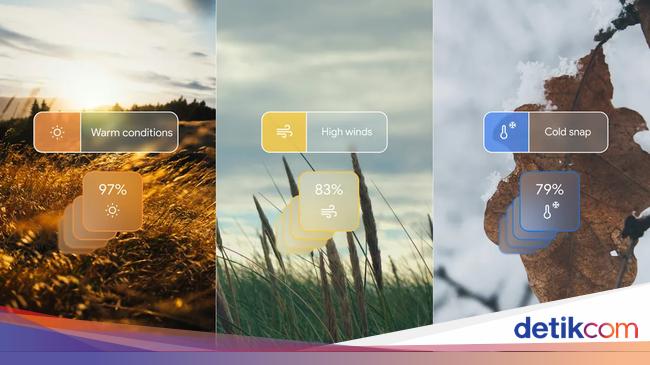 Prakiraan Cuaca Bali Besok: Berawan, Hujan Ringan Di 5 Wilayah