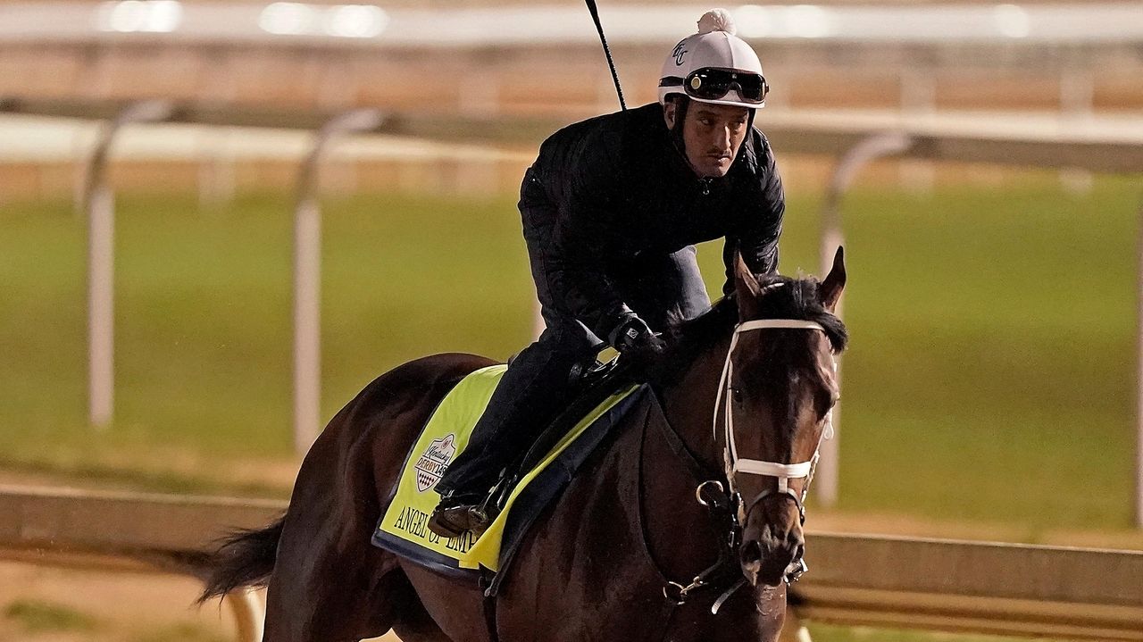 Predicting The 2025 Tampa Bay Derby: Odds, Field Analysis, And Kentucky Derby Outlook Predicting The 2025 Tampa Bay Derby: Odds, Field Analysis, And Kentucky Derby Outlook