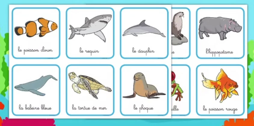 Préparation D'une Journée En Mer : Checklist Pour Tous Les Marins Préparation D'une Journée En Mer : Checklist Pour Tous Les Marins