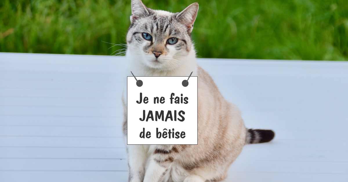 Prévenir Les Bêtises: Affûter La Guillotine Prévenir Les Bêtises: Affûter La Guillotine